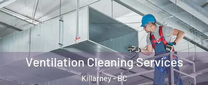  Ventilation Cleaning Services Killarney - BC