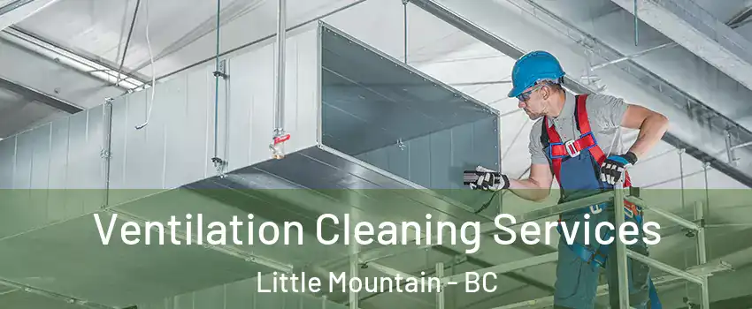  Ventilation Cleaning Services Little Mountain - BC