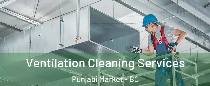  Ventilation Cleaning Services Punjabi Market - BC