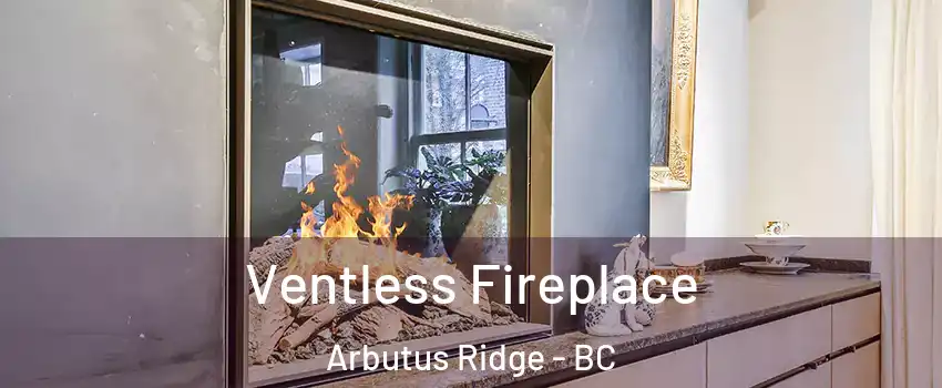  Ventless Fireplace Arbutus Ridge - BC
