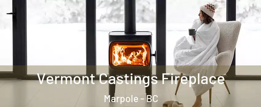 Vermont Castings Fireplace Marpole - BC