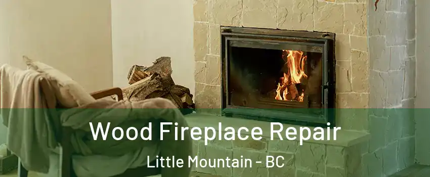  Wood Fireplace Repair Little Mountain - BC