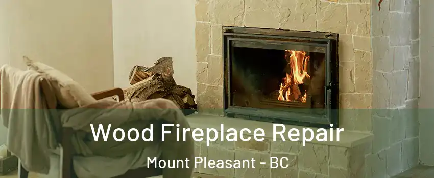  Wood Fireplace Repair Mount Pleasant - BC