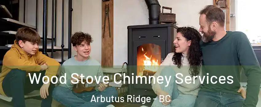  Wood Stove Chimney Services Arbutus Ridge - BC