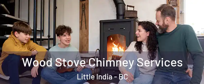  Wood Stove Chimney Services Little India - BC