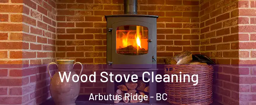  Wood Stove Cleaning Arbutus Ridge - BC