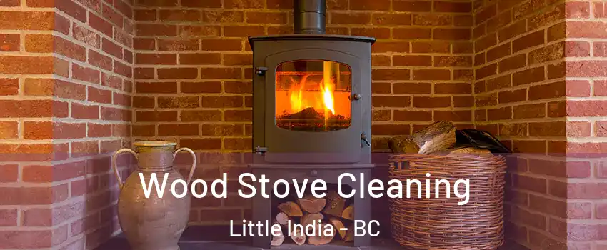  Wood Stove Cleaning Little India - BC