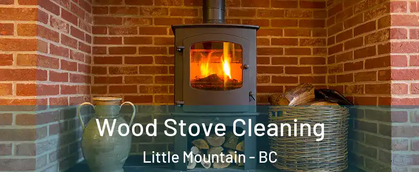  Wood Stove Cleaning Little Mountain - BC