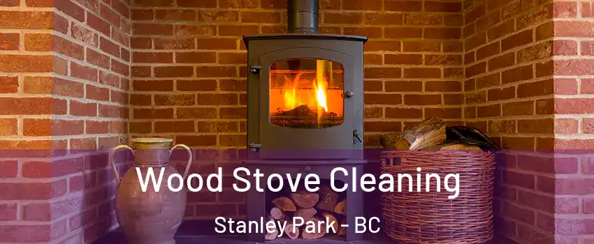  Wood Stove Cleaning Stanley Park - BC