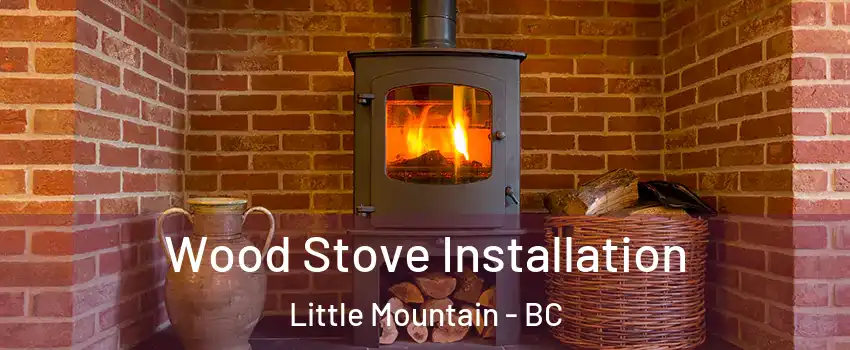  Wood Stove Installation Little Mountain - BC