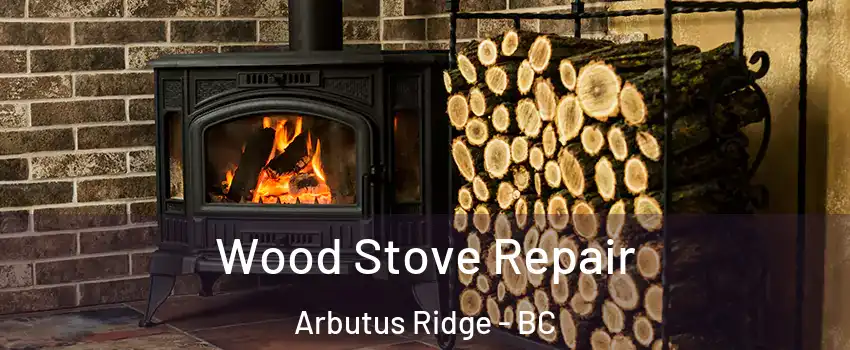  Wood Stove Repair Arbutus Ridge - BC