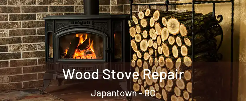  Wood Stove Repair Japantown - BC