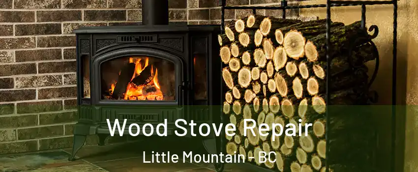  Wood Stove Repair Little Mountain - BC