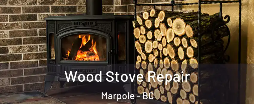  Wood Stove Repair Marpole - BC