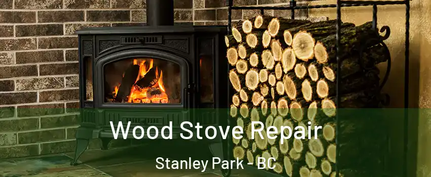  Wood Stove Repair Stanley Park - BC